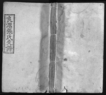 湖南张氏族谱-良源张氏支谱 [6卷,含首1卷].pdf电子版预览图1