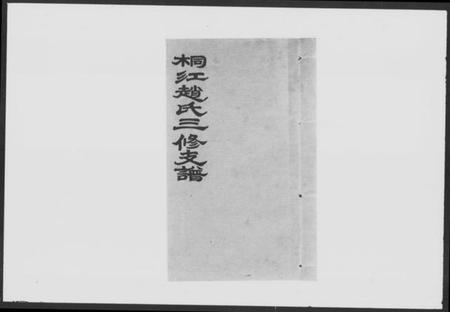 湖南赵氏族谱-桐江赵氏三修支谱 [21卷,首2卷].pdf电子版预览图1