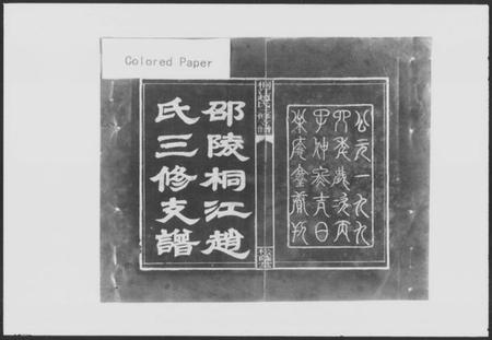 湖南赵氏族谱-桐江赵氏三修支谱 [21卷,首2卷].pdf电子版预览图2