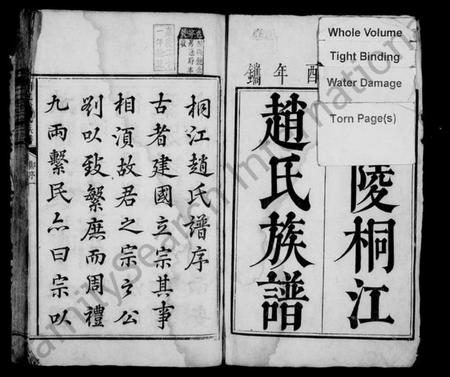 湖南赵氏族谱-桐江赵氏族谱 [12卷,首1卷].pdf电子版预览图2