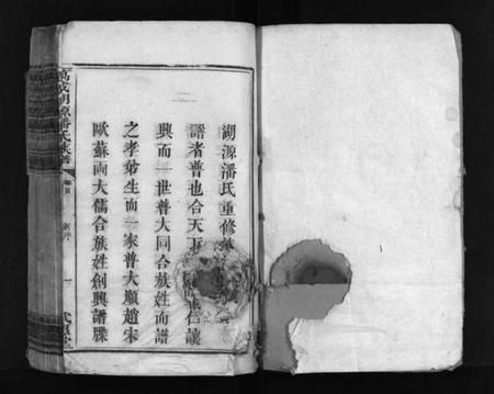 江西潘氏族谱-湖源武惠潘氏族谱 [10卷,首末各1卷].pdf电子版预览图2