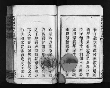 江西潘氏族谱-湖源武惠潘氏族谱 [10卷,首末各1卷].pdf电子版预览图4