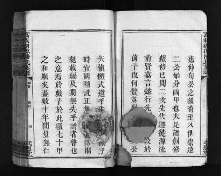 江西潘氏族谱-湖源武惠潘氏族谱 [10卷,首末各1卷].pdf电子版预览图5