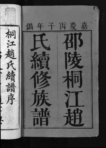 湖南赵氏族谱-桐江赵氏续修族谱 [15卷,首1卷].pdf电子版预览图2