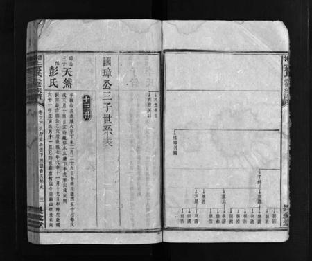 湖南赵氏族谱-湘上赵氏三修族谱 [残卷].pdf电子版预览图4