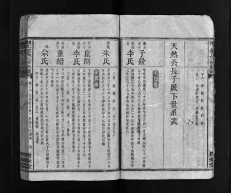 湖南赵氏族谱-湘上赵氏三修族谱 [残卷].pdf电子版预览图5