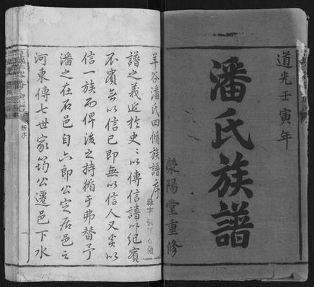 江西潘氏族谱-石城羊谷潘氏族谱[不分卷].pdf电子版预览图1