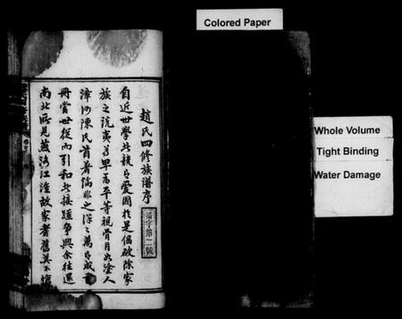 湖南赵氏族谱-赵氏四修族谱 [16卷,首2卷].pdf电子版预览图3