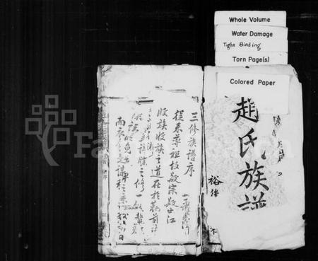 湖南赵氏族谱-赵氏族谱 [12卷].pdf电子版预览图2