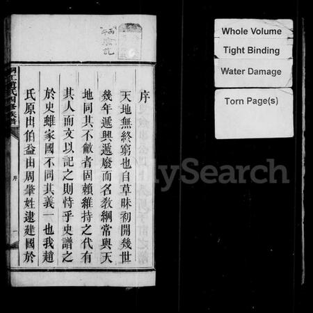 湖南赵氏族谱-邵陵桐江赵氏四修族谱 [21卷,及卷首].pdf电子版预览图4