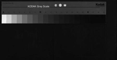 湖南郑氏族谱-郑氏族谱[6卷].pdf电子版缩略图