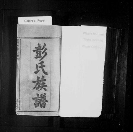 江西彭氏族谱-彭氏族谱 [9卷,首2卷,末1卷].pdf电子版预览图2