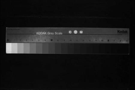江西彭氏族谱-彭氏重修宗谱 [不分卷].pdf电子版缩略图