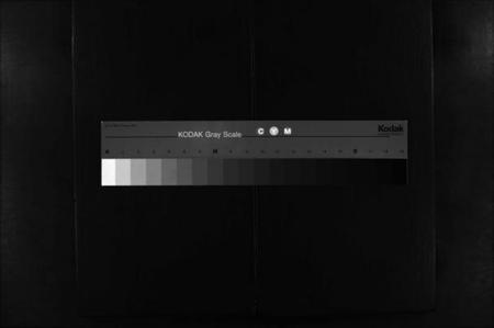 江西彭氏族谱-菰塘东彭氏赤岸分派谱 [不分卷].pdf电子版