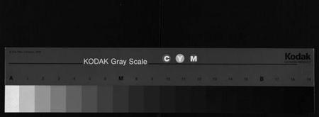 湖南锺氏族谱-锺氏五修族谱[13卷,首2卷].pdf电子版缩略图