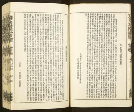 江西漆氏族谱-萍乡漆氏族谱 [7卷,含首卷].pdf电子版预览图5