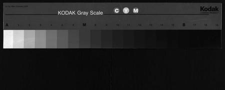 湖南周氏族谱-周氏五修族谱 [13卷,含卷首,末1卷].pdf电子版缩略图
