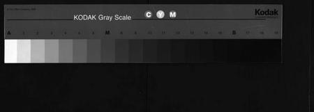 湖南周氏族谱-周氏四修族谱[7卷,首2卷].pdf电子版缩略图