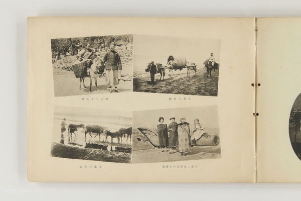 《山东省动乱纪念写真帖》1928年 影集下载预览图6