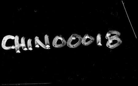 湖南周氏族谱-周氏族谱 [17卷,首1卷].pdf电子版预览图4