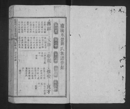 湖南周氏族谱-庐阳周氏重修族谱 [不分卷].pdf电子版预览图1