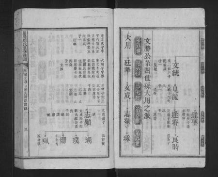 湖南周氏族谱-庐阳周氏重修族谱 [不分卷].pdf电子版预览图3