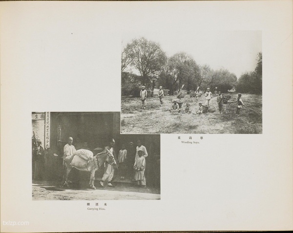 《北清大观》清末 全套影集下载预览图5