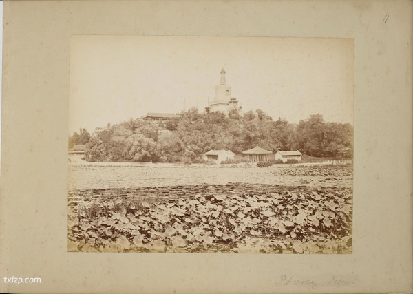 《中国景观》19世纪末 莫理循 影集下载预览图5