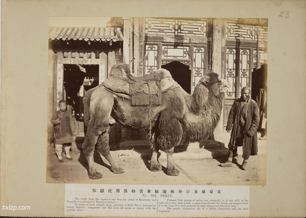 《中国景观》19世纪末 莫理循 影集下载预览图7