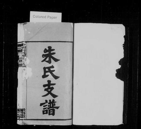 湖南朱氏族谱-中湘高司岭朱氏四修支谱 [8卷].pdf电子版预览图2