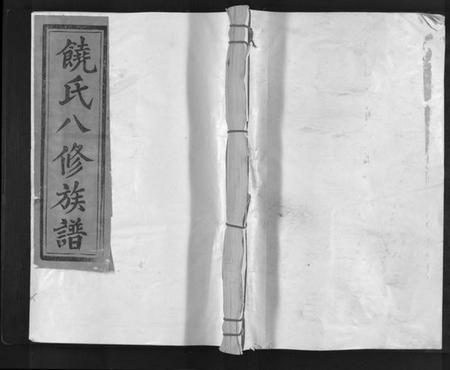 江西饶氏族谱-坳背源饶氏族谱[6卷].pdf电子版缩略图