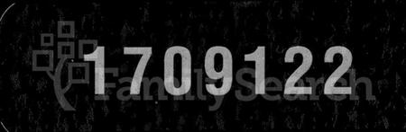 湖南朱氏族谱-朱氏合修族谱 [29卷,首末各1卷].pdf电子版缩略图