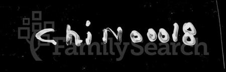 湖南朱氏族谱-朱氏合修族谱 [29卷,首末各1卷].pdf电子版预览图1