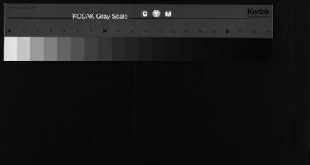 湖南朱氏族谱-朱氏四修族谱 [总卷数不详].pdf电子版缩略图