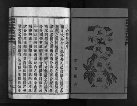 湖南朱氏族谱-汝城朱氏族谱 [不分卷].pdf电子版预览图3