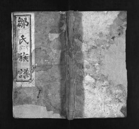 湖南邹氏族谱-墹山邹氏族谱 [5卷,首1卷].pdf电子版预览图1