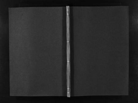 湖南邹氏族谱-邹氏宗谱[4卷].pdf电子版预览图1