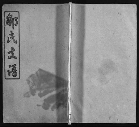 湖南邹氏族谱-邹氏支谱 [4卷].pdf电子版预览图1