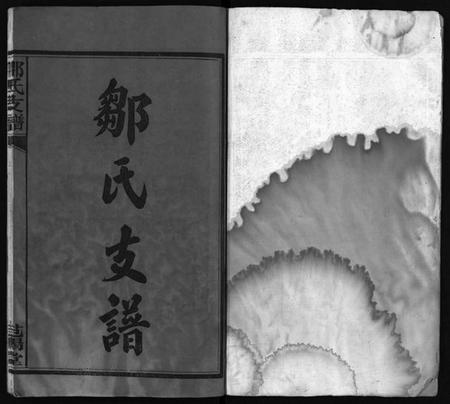 湖南邹氏族谱-邹氏支谱 [4卷].pdf电子版预览图2