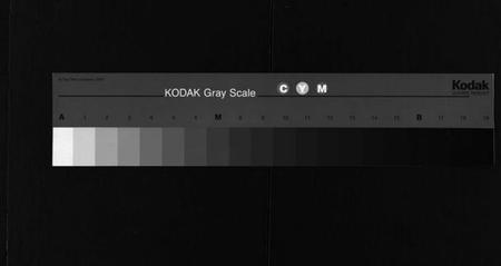 湖南邹氏族谱-邹氏族谱 [残卷].pdf电子版缩略图