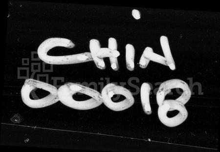 湖南邹氏族谱-邹氏旭户家谱 [9卷,首2卷].pdf电子版预览图4