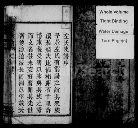 湖南左氏族谱-沧溟左氏支谱 [9卷,首1卷].pdf电子版预览图2