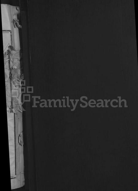 江西帅氏族谱-帅如逸公支谱 [不分卷].pdf电子版预览图2