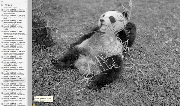 《哈里森.福尔曼的中国摄影集》1930年代 影集下载预览图7