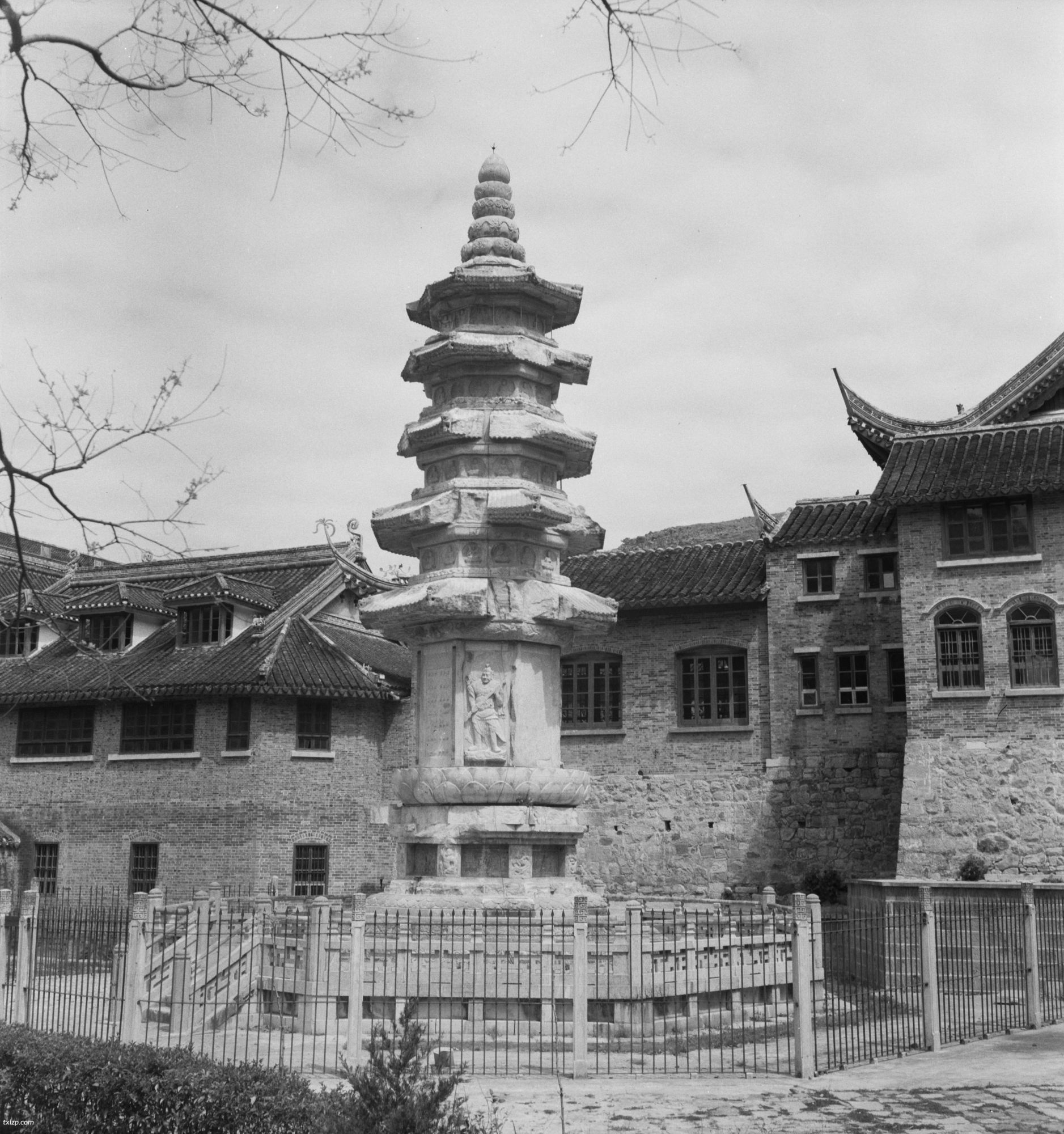 《赫达·莫里逊的摄影集》1933-1946年 全套影集预览图1