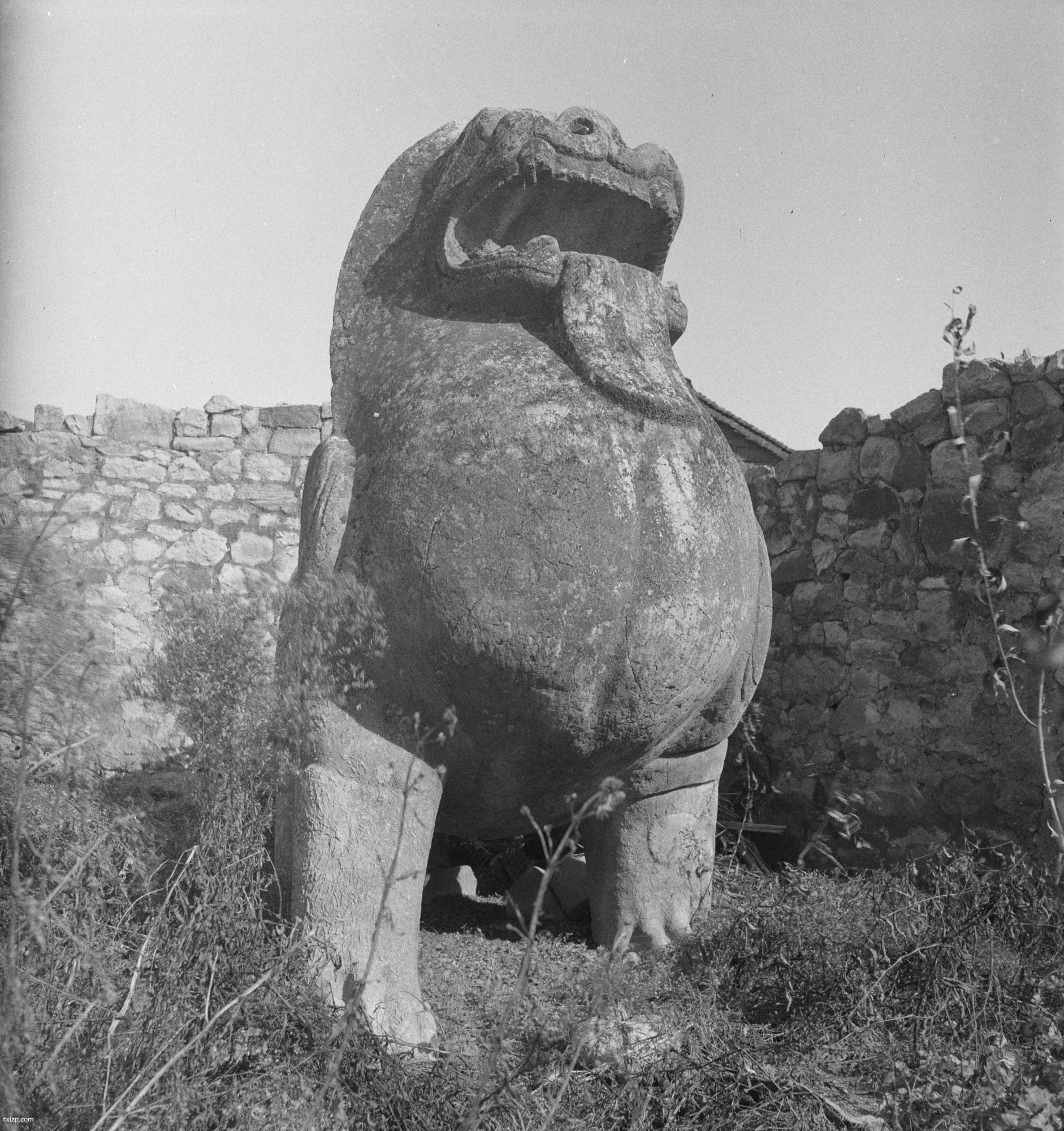 《赫达·莫里逊的摄影集》1933-1946年 全套影集预览图4