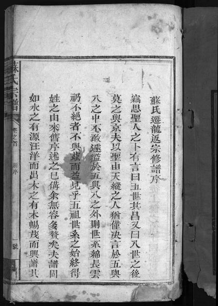 江西苏氏族谱-苏氏宗谱 [残卷].pdf电子版预览图2