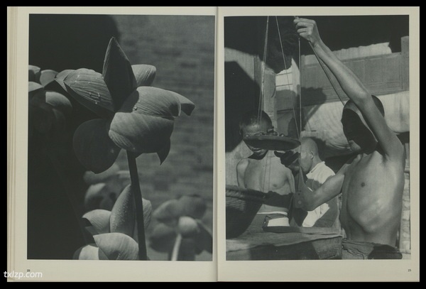 《中国》摄影集 1946年 海伦娜·哈佩诺特 影集下载预览图4