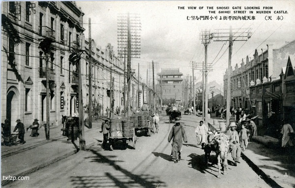 战前沈阳老照片 明信片《大奉天の隆盛》预览图13