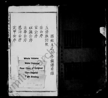 江西王氏族谱-信邑西乡王氏族谱 [残卷].pdf电子版预览图2